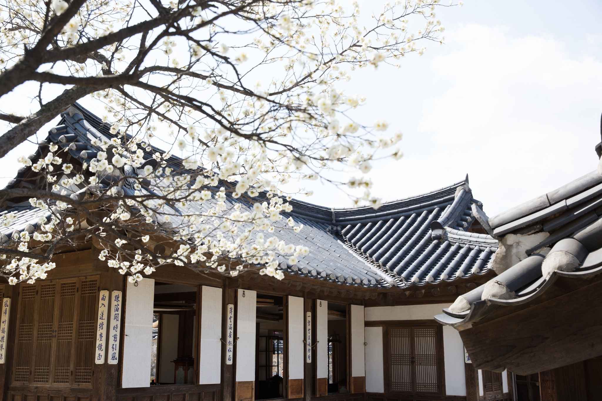 Hanok – cảm hứng từ kiến trúc truyền thống Hàn Quốc